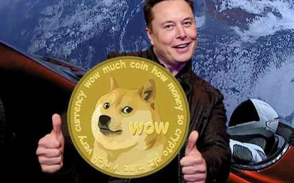 dogecoin-betting-risks-rewards-filipinos