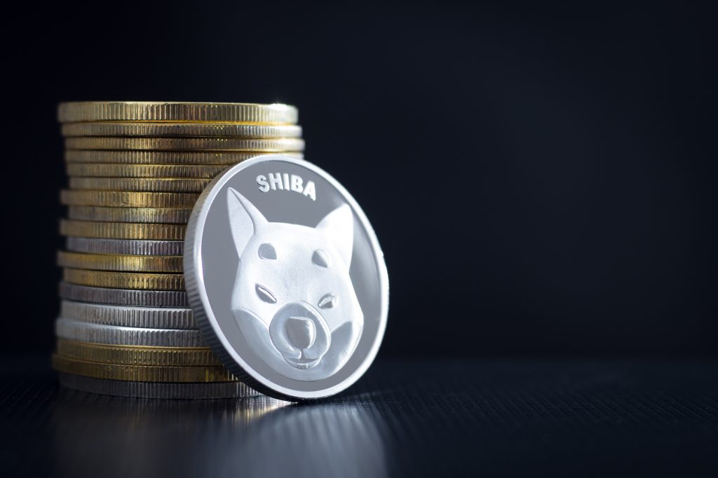 Shiba Inu Betting: The Truth About This Hyped Cryptocurrency in the Philippines